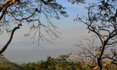 Chorten Mumbai Elephanta