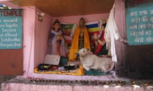 Chorten Bodhgaya 1403 (66) md