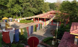 Chorten Bodhgaya Root