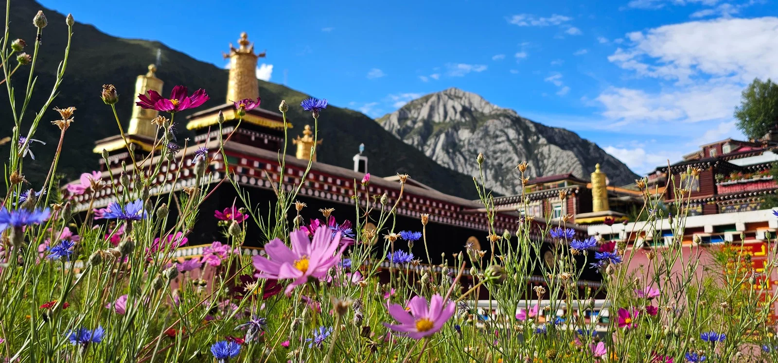 Viagem ao Nepal, Kham e Lhasa no Tibete com Guilherme Samel